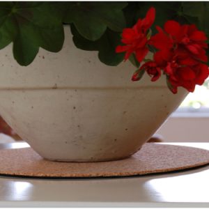 Eco Cork Mat 10″